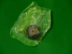3-472-124-00 Sony Pinch Roller Part Reel To Vintage Electronics Audio
