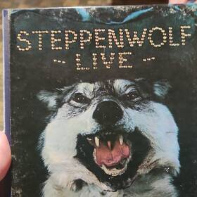 Ampex N-5075 Steppenwolf Live Album Reel-to-reel Tape N 5075 Double Play