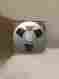 Scotch226 Scotch Heavy 6 Screw 10.5 1 4 Reel To Metal With Blank Tape W Box