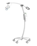 Zoom Whitening Light Whitespeed Lamp Selaed Box (free Shipping) 2026 Model. Fixed Price $1890.00.