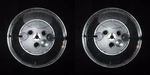 5" To Audio Tape Take-up Reels 1/4" Plastic Blank Usa Nos 2 Pack. Fixed Price $12.99.