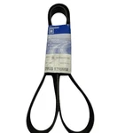 Gm 15625166 Serpentine Belt, Fan & Generator (genuine). Fixed Price $20.95.